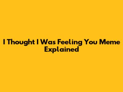 "I Thought I Was Feeling You" Meme Explained