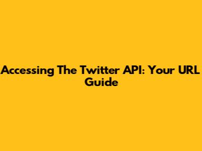 Accessing The Twitter API: Your URL Guide