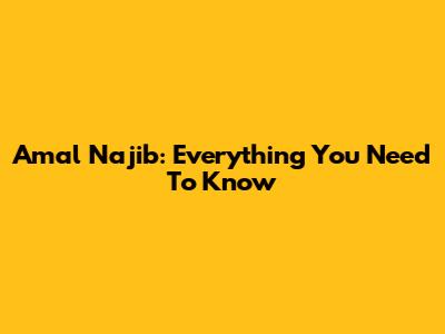 Amal Najib: Everything You Need To Know