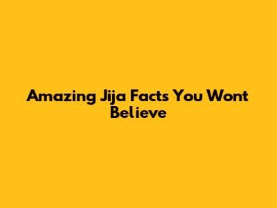 Amazing Jija Facts You Won't Believe
