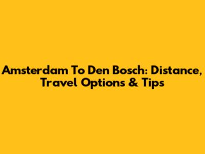 Amsterdam To Den Bosch: Distance, Travel Options & Tips