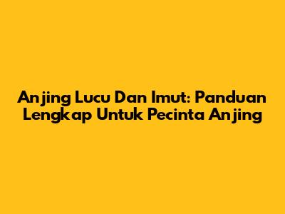 Anjing Lucu Dan Imut: Panduan Lengkap Untuk Pecinta Anjing