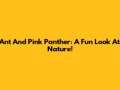 Ant And Pink Panther: A Fun Look At Nature!