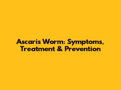 Ascaris Worm: Symptoms, Treatment & Prevention