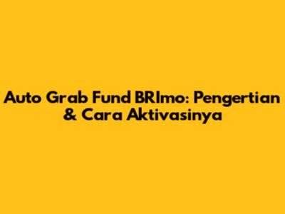 Auto Grab Fund BRImo: Pengertian & Cara Aktivasinya