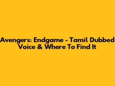 Avengers: Endgame - Tamil Dubbed Voice & Where To Find It