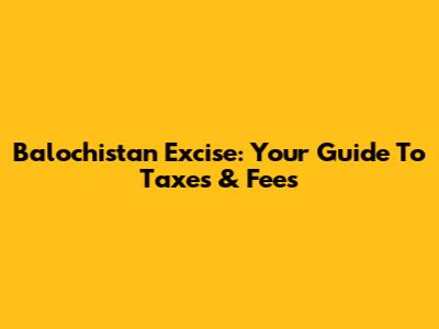 Balochistan Excise: Your Guide To Taxes & Fees