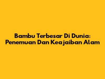 Bambu Terbesar Di Dunia: Penemuan Dan Keajaiban Alam