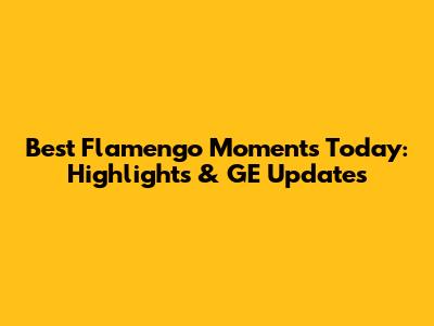 Best Flamengo Moments Today: Highlights & GE Updates