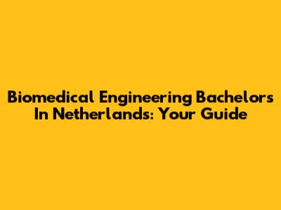 Biomedical Engineering Bachelor's In Netherlands: Your Guide