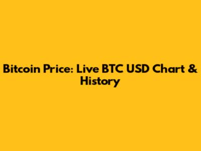 Bitcoin Price: Live BTC USD Chart & History