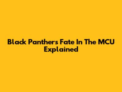 Black Panther's Fate In The MCU Explained