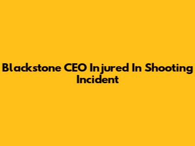 Blackstone CEO Injured In Shooting Incident