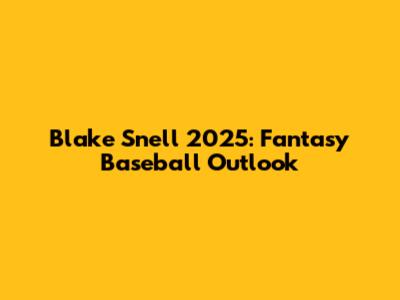 Blake Snell 2025: Fantasy Baseball Outlook