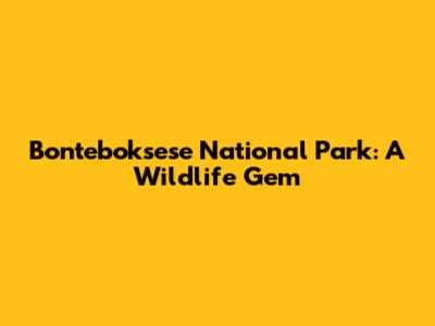 Bonteboksese National Park: A Wildlife Gem
