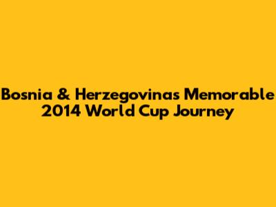Bosnia & Herzegovina's Memorable 2014 World Cup Journey