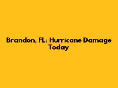 Brandon, FL: Hurricane Damage Today