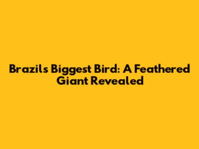 Brazil's Biggest Bird: A Feathered Giant Revealed