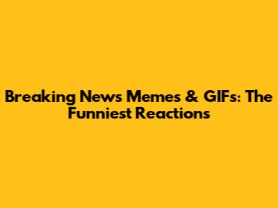Breaking News Memes & GIFs: The Funniest Reactions