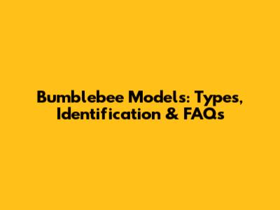 Bumblebee Models: Types, Identification & FAQs