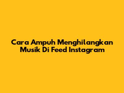 Cara Ampuh Menghilangkan Musik Di Feed Instagram