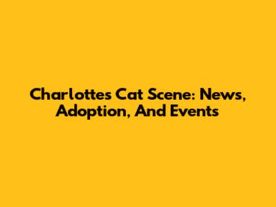 Charlotte's Cat Scene: News, Adoption, And Events
