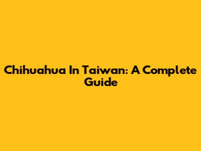 Chihuahua In Taiwan: A Complete Guide