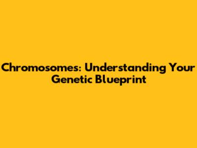 Chromosomes: Understanding Your Genetic Blueprint
