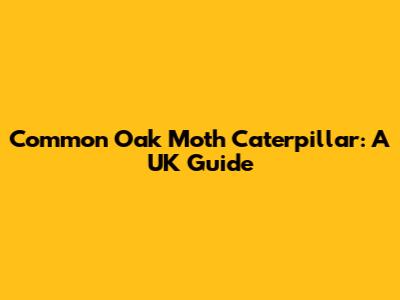 Common Oak Moth Caterpillar: A UK Guide