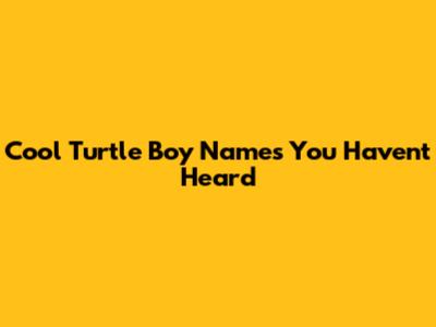 Cool Turtle Boy Names You Haven't Heard