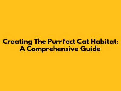 Creating The Purrfect Cat Habitat: A Comprehensive Guide