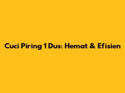 Cuci Piring 1 Dus: Hemat & Efisien