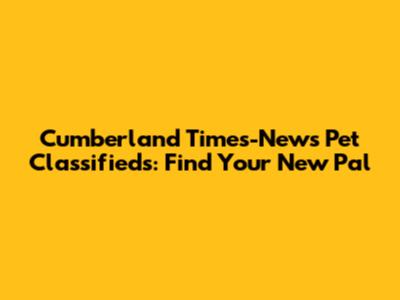 Cumberland Times-News Pet Classifieds: Find Your New Pal