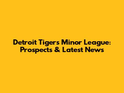 Detroit Tigers Minor League: Prospects & Latest News