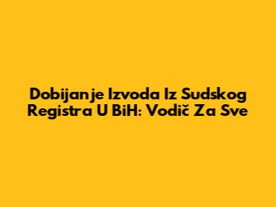 Dobijanje Izvoda Iz Sudskog Registra U BiH: Vodič Za Sve