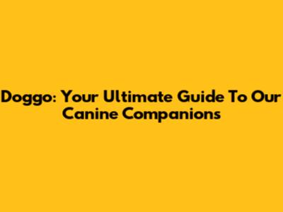 Doggo: Your Ultimate Guide To Our Canine Companions