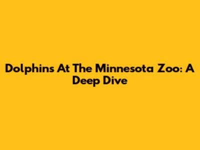 Dolphins At The Minnesota Zoo: A Deep Dive