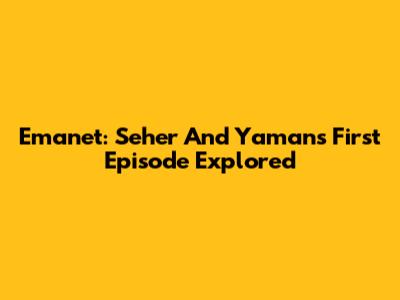 Emanet: Seher And Yaman's First Episode Explored