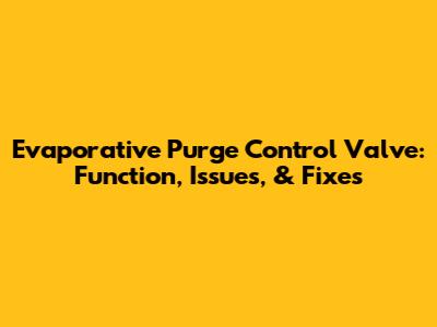 Evaporative Purge Control Valve: Function, Issues, & Fixes