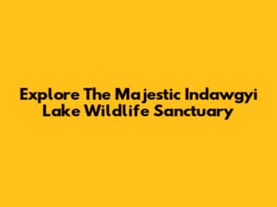Explore The Majestic Indawgyi Lake Wildlife Sanctuary