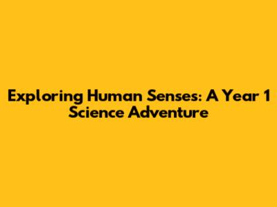 Exploring Human Senses: A Year 1 Science Adventure