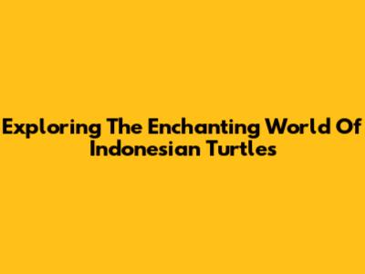 Exploring The Enchanting World Of Indonesian Turtles