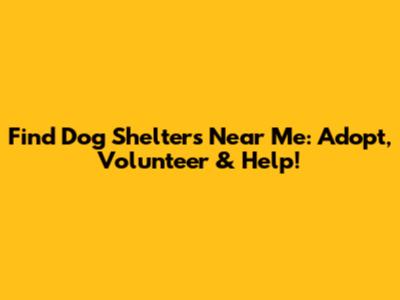 Find Dog Shelters Near Me: Adopt, Volunteer & Help!