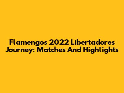 Flamengo's 2022 Libertadores Journey: Matches And Highlights