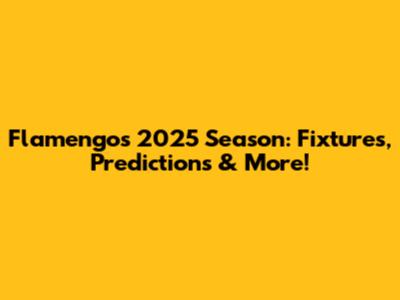 Flamengo's 2025 Season: Fixtures, Predictions & More!