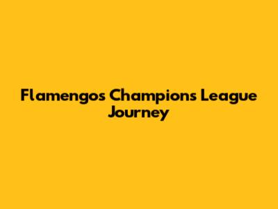 Flamengo's Champions League Journey
