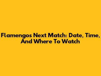 Flamengo's Next Match: Date, Time, And Where To Watch