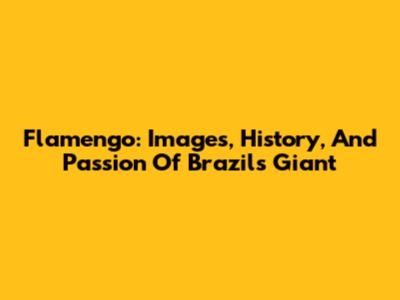 Flamengo: Images, History, And Passion Of Brazil's Giant