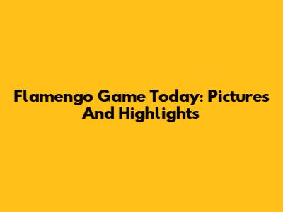 Flamengo Game Today: Pictures And Highlights