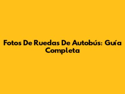Fotos De Ruedas De Autobús: Guía Completa